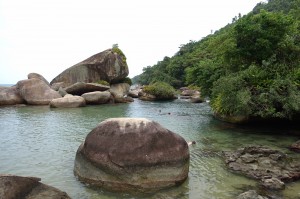 DSC02406 